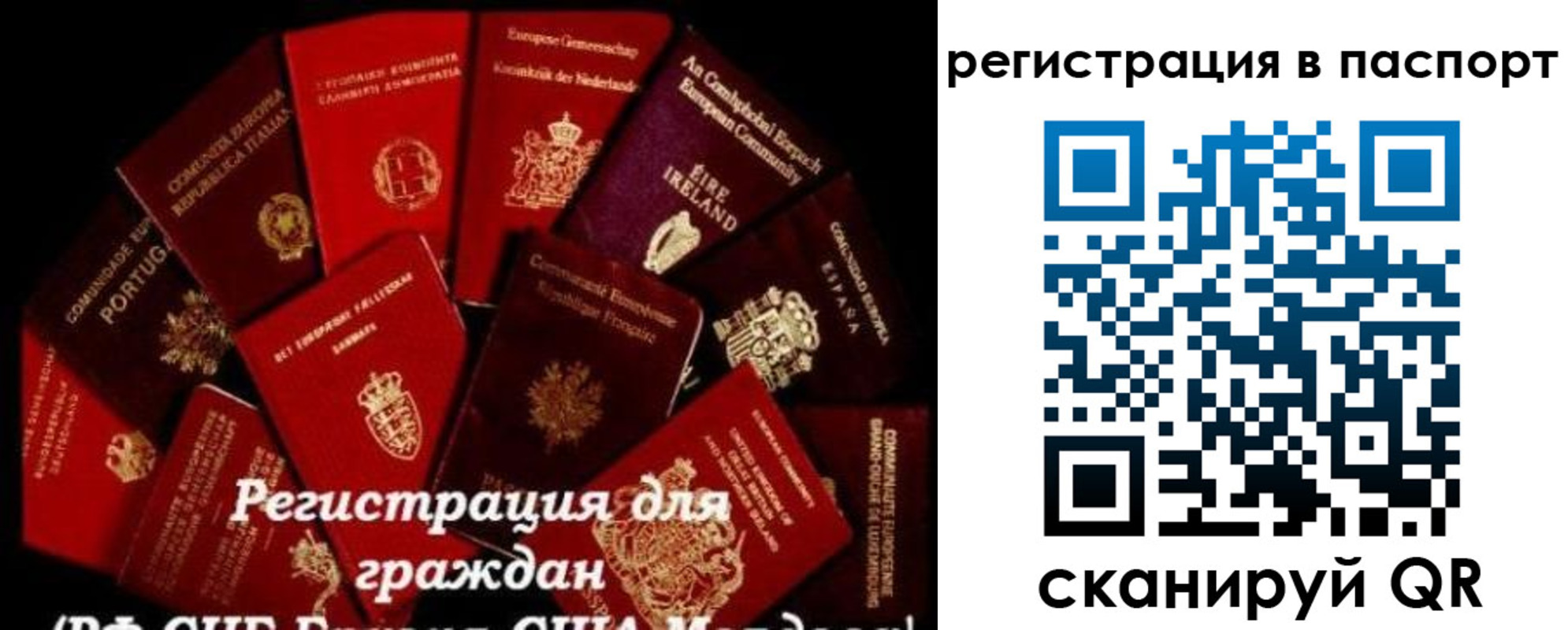 миграционный учет в Жукове